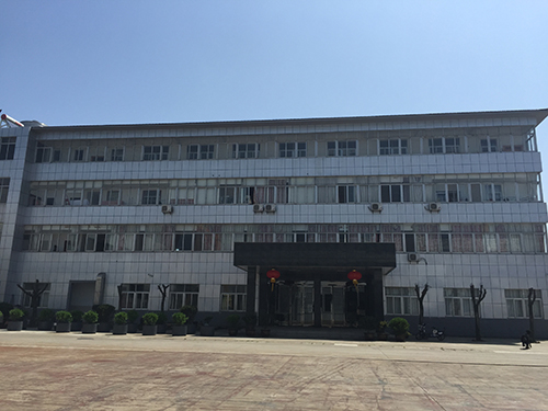 �S�^(q��)�D��